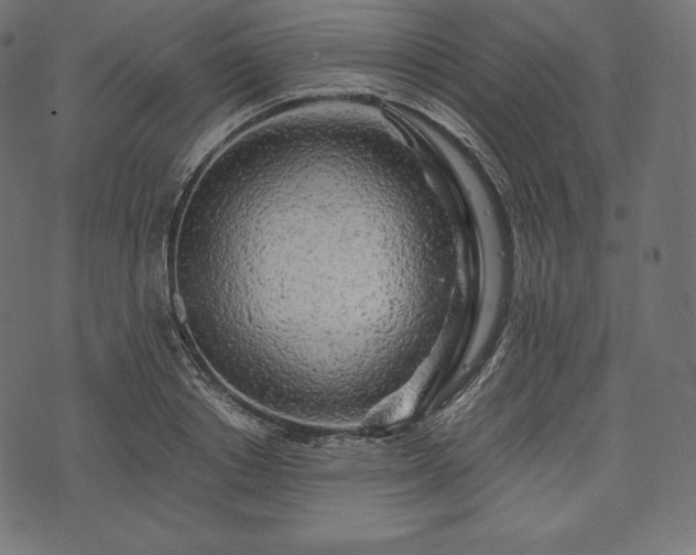 X0000073860842200608170940