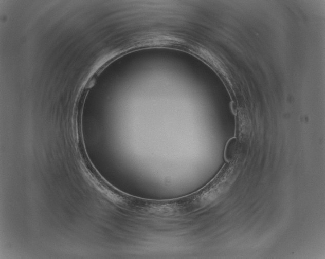 X0000073860843200608170940