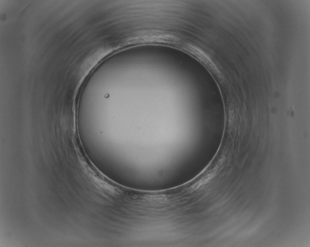 X0000073860844200608170940