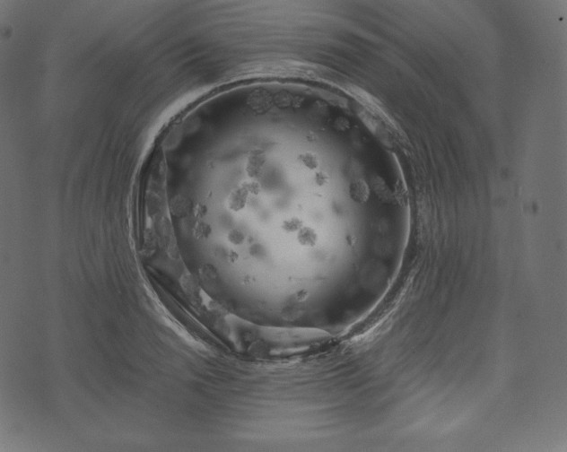 X0000073860846200608170940