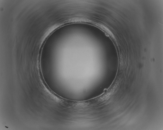 X0000073860847200608170940