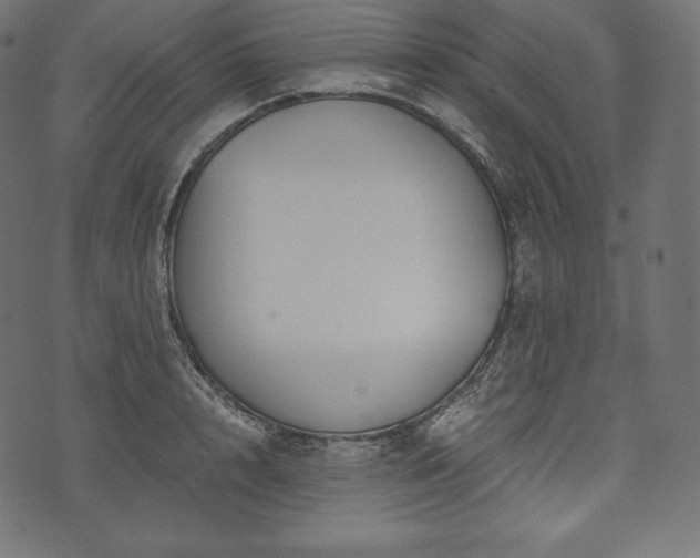 X0000073860848200608170940