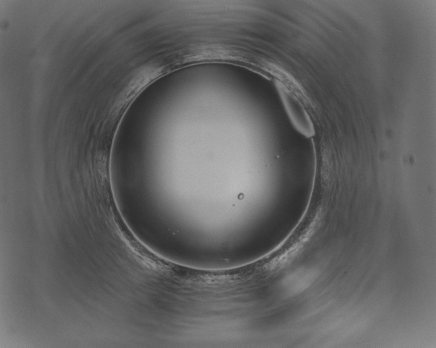 X0000073860849200608170940