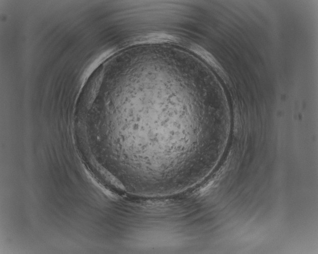 X0000073860850200608170940