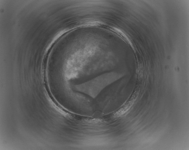 X0000073860851200608170940