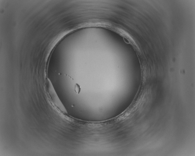 X0000073860852200608170940