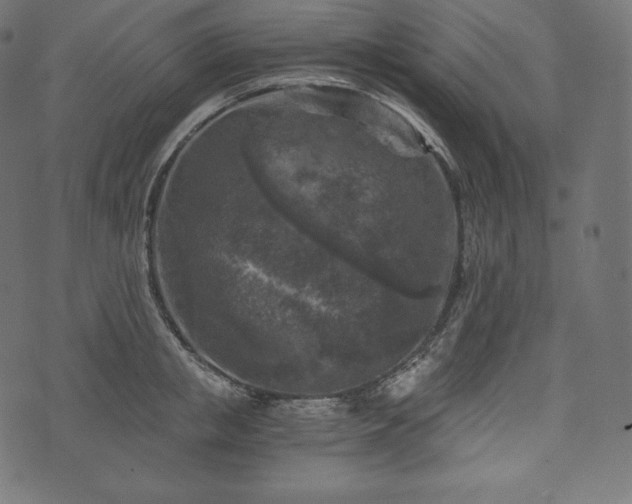 X0000073860853200608170940