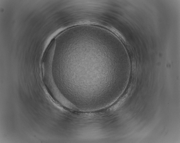 X0000073860854200608170940