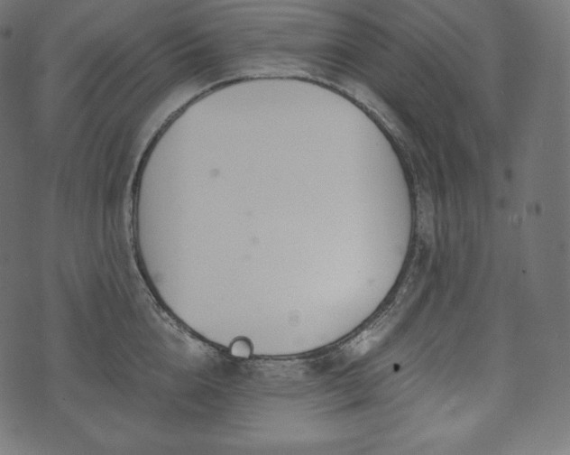 X0000073860856200608170940