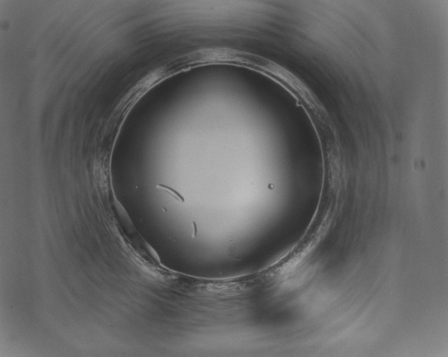 X0000073860857200608170940