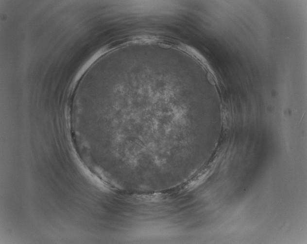 X0000073860859200608170941