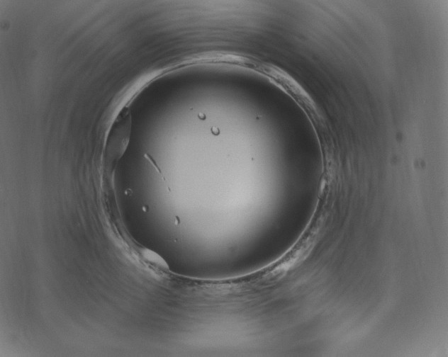 X0000073860860200608170941