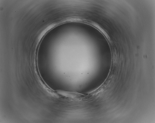 X0000073860861200608170941