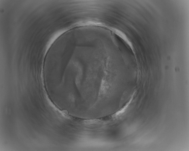 X0000073860863200608170941