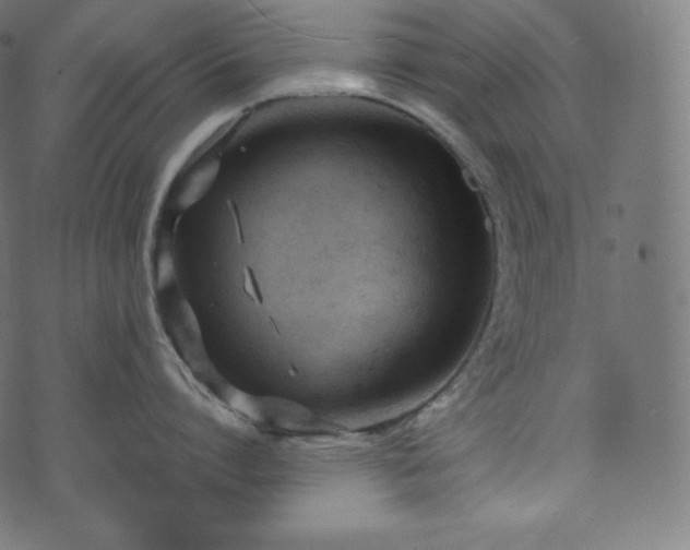 X0000073860864200608170941