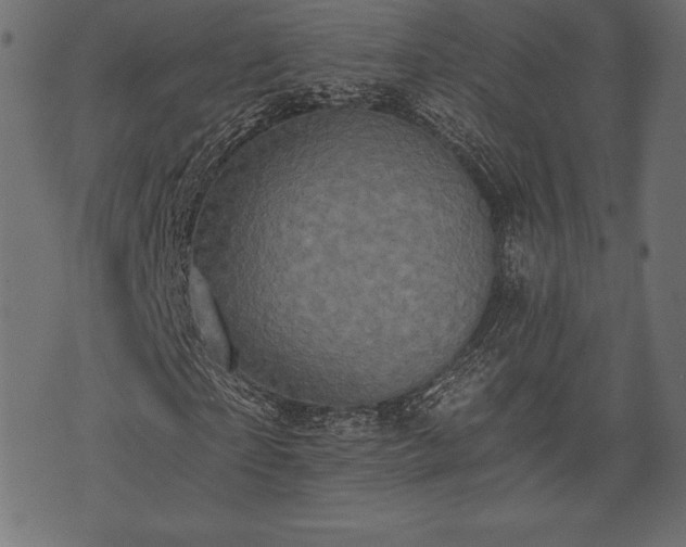 X0000073860865200608170940