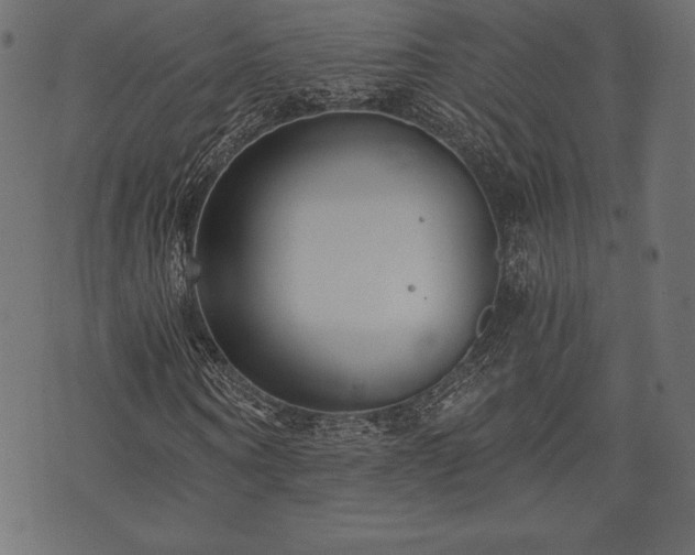 X0000073860866200608170940