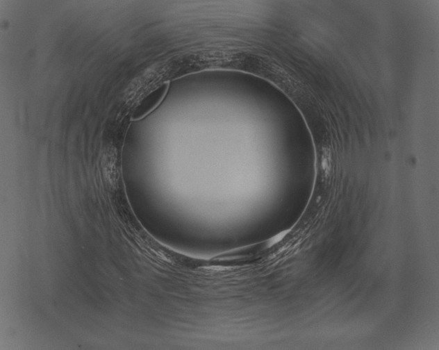 X0000073860867200608170940