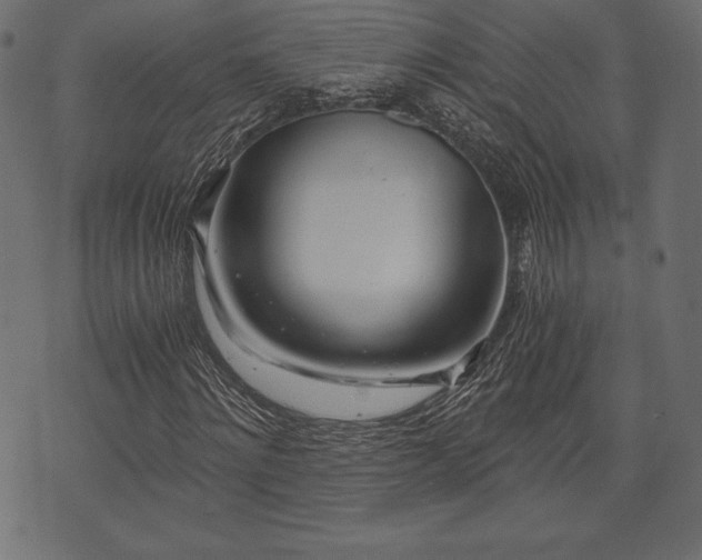 X0000073860868200608170940