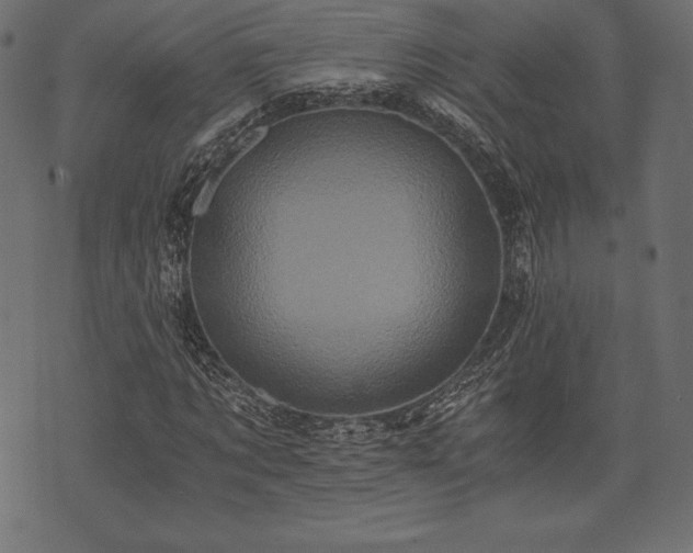 X0000073860869200608170940