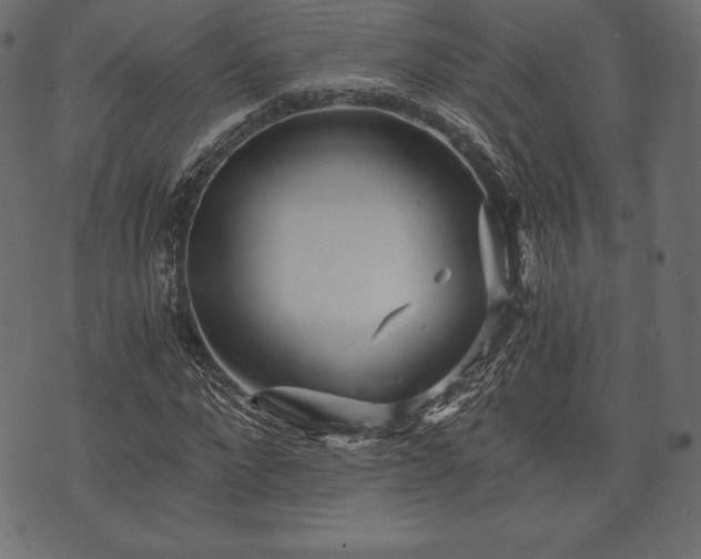 X0000073860872200608170940