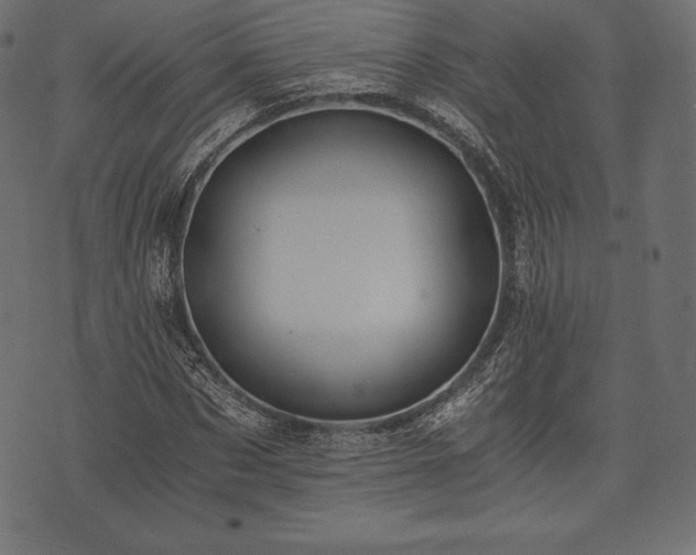 X0000073860873200608170940