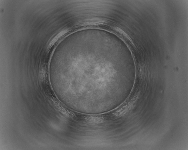 X0000073860874200608170940