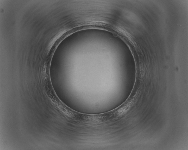 X0000073860875200608170940