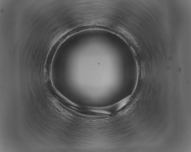 X0000073860876200608170940