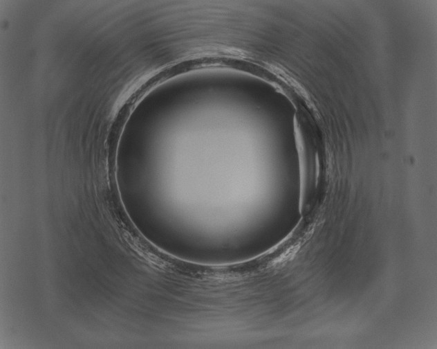 X0000073860877200608170940