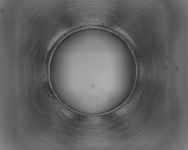 X0000073860878200608170940