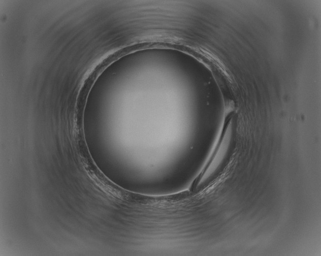 X0000073860880200608170940