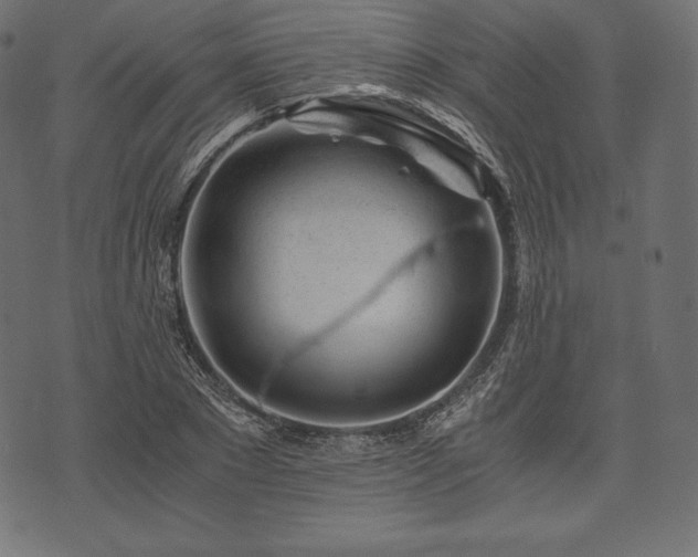 X0000073860881200608170940