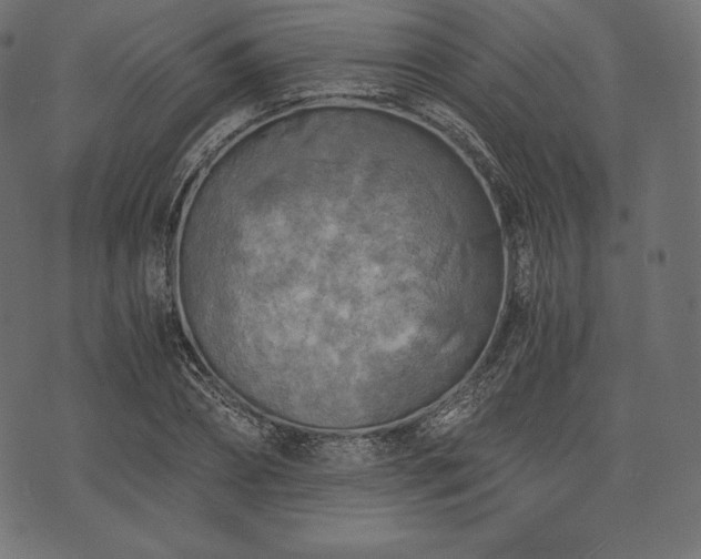 X0000073860882200608170940