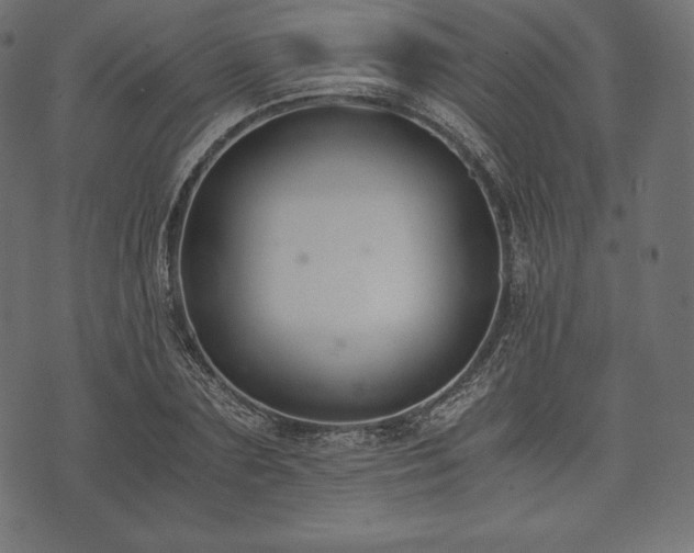 X0000073860883200608170940