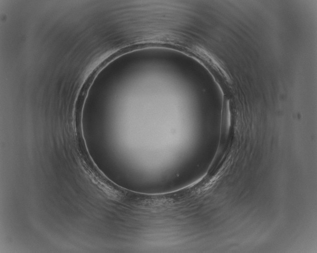 X0000073860884200608170940