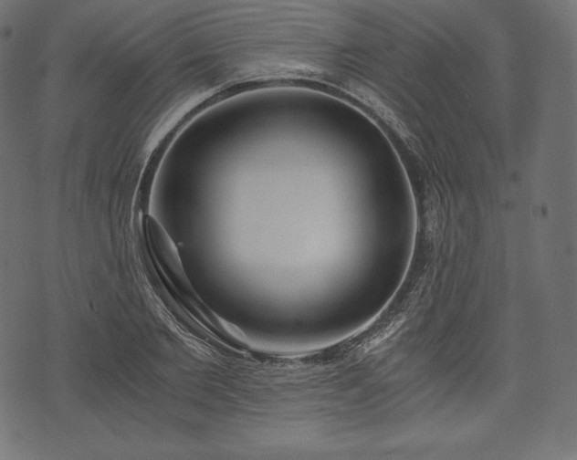 X0000073860885200608170939