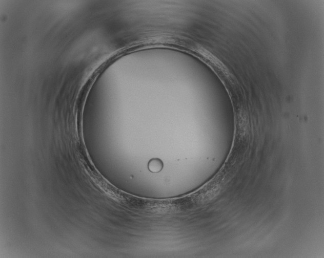 X0000073860886200608170939