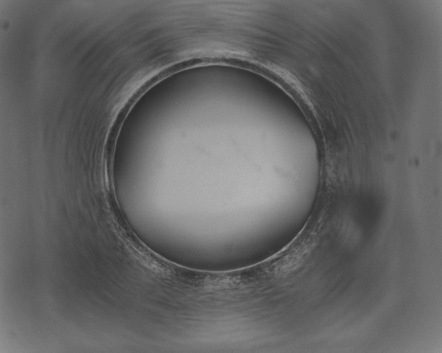 X0000073860887200608170939