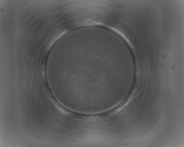 X0000073860889200608170939