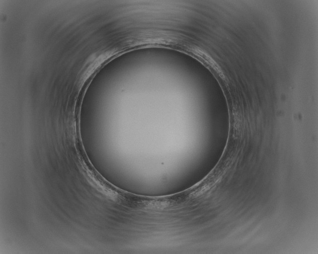 X0000073860890200608170939