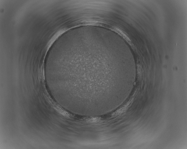 X0000073860891200608170939