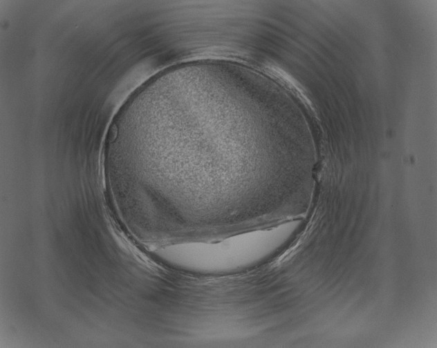 X0000073860892200608170939