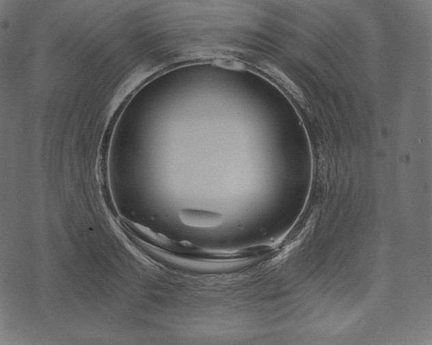 X0000073860893200608170939