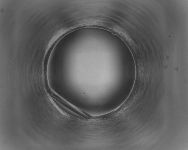 X0000073860894200608170939