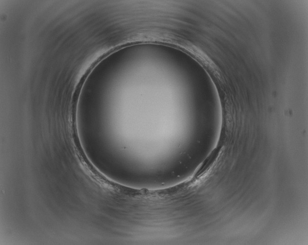 X0000073860896200608170939