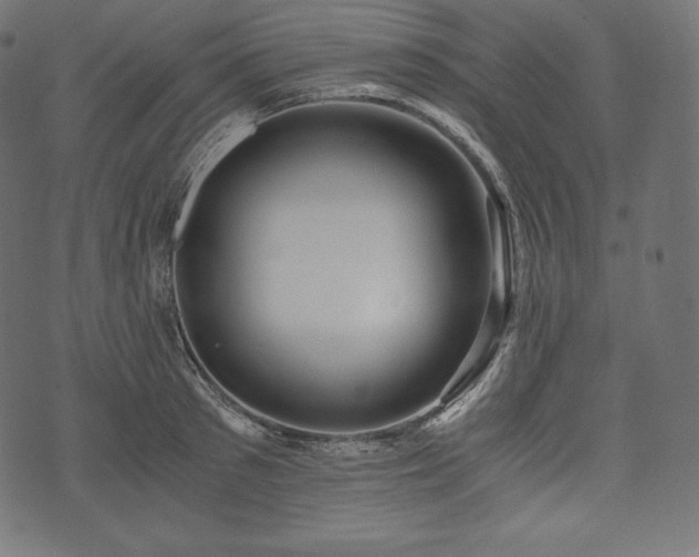 X0000073860897200608170939