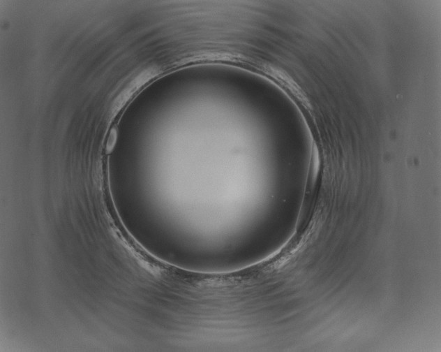 X0000073860898200608170939