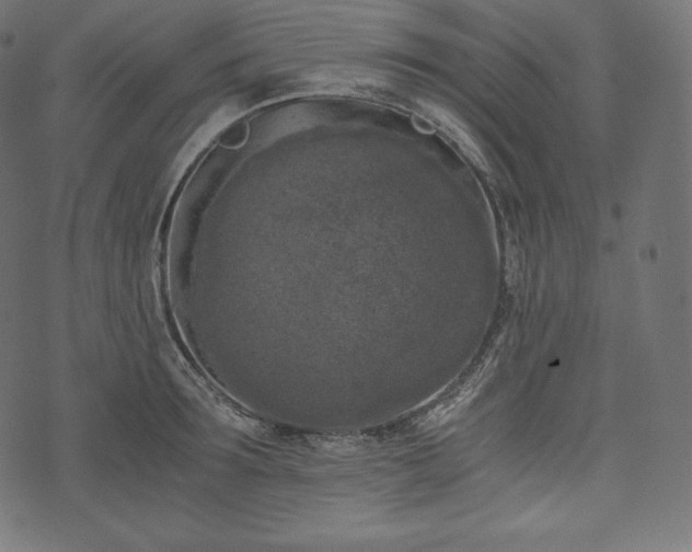 X0000073860899200608170939