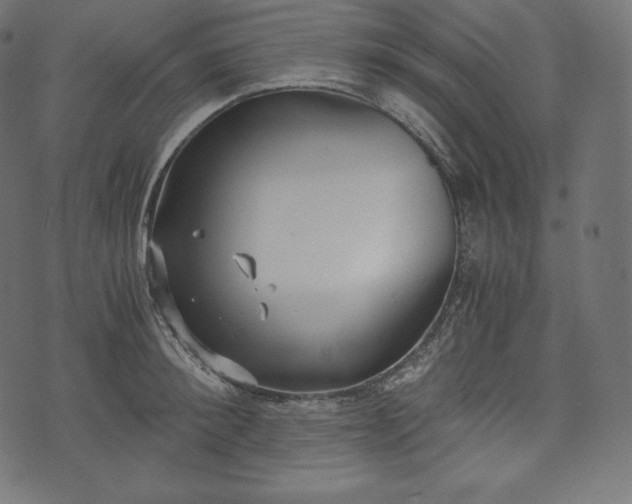 X0000073860900200608170939